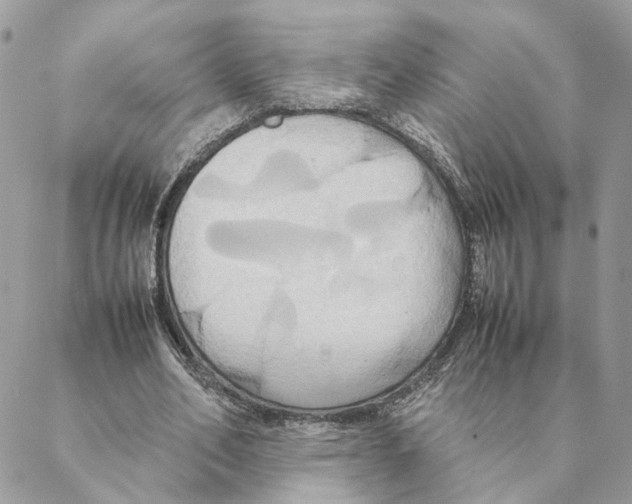 X0000088210582200706121807