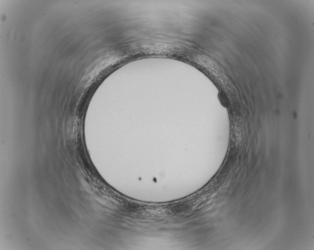 X0000088210583200706121807