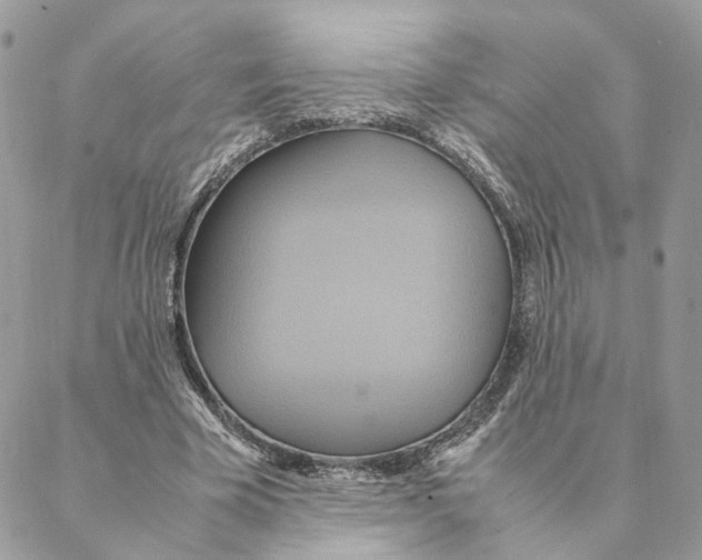 X0000088210585200706121807