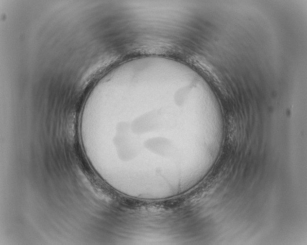 X0000088210586200706121807