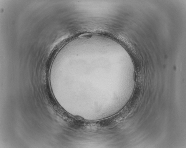 X0000088210587200706121807