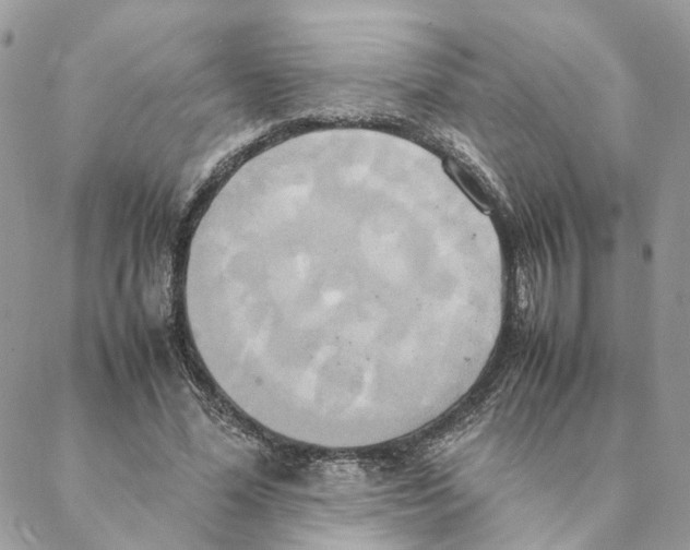 X0000088210588200706121807