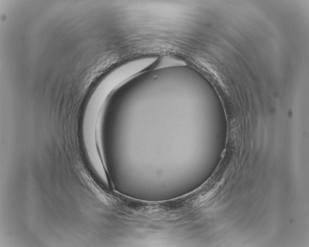 X0000088210589200706121807