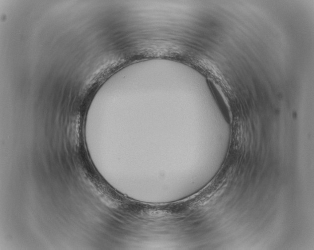 X0000088210590200706121807