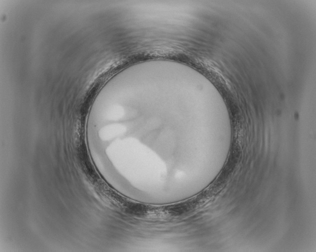 X0000088210591200706121807