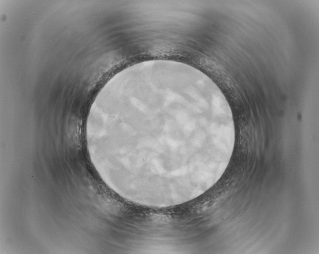 X0000088210592200706121807