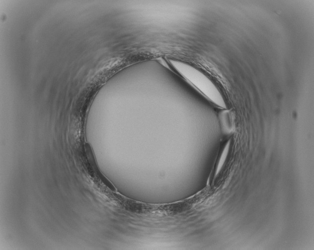 X0000088210593200706121807