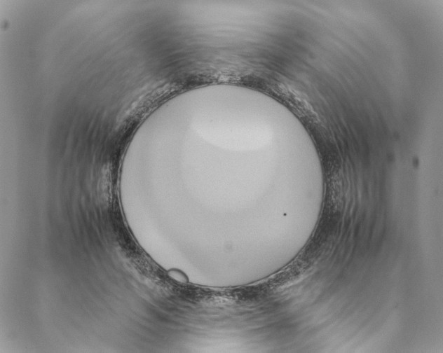 X0000088210594200706121807