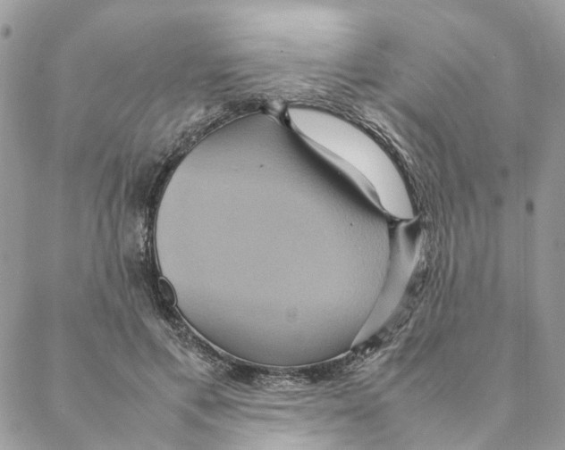 X0000088210597200706121807