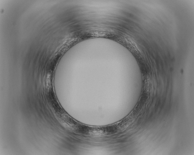 X0000088210598200706121807