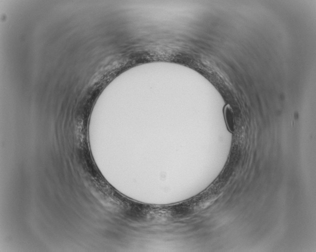 X0000088210599200706121807