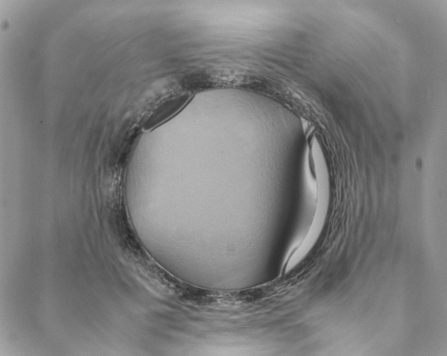 X0000088210601200706121807