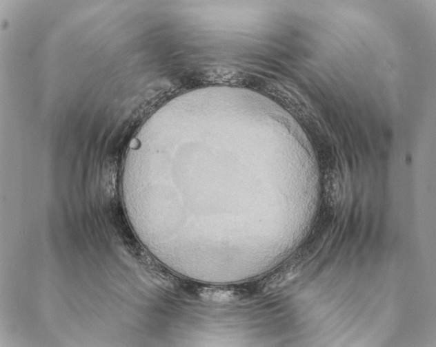 X0000088210602200706121807