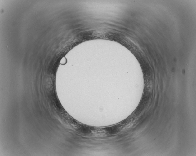 X0000088210603200706121807