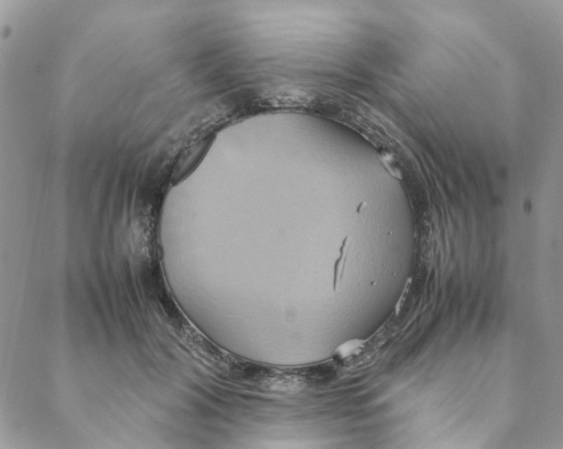 X0000088210604200706121807