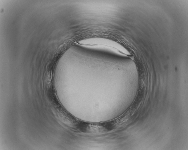 X0000088210605200706121807