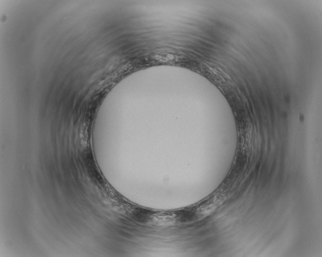 X0000088210606200706121807