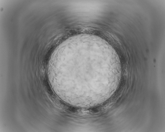 X0000088210607200706121807