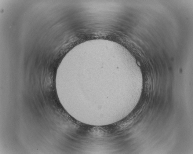 X0000088210608200706121807