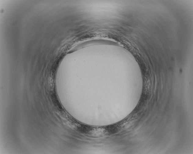 X0000088210609200706121807