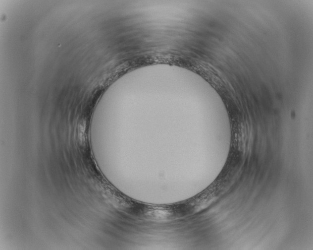 X0000088210610200706121807