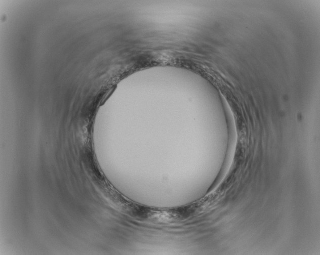 X0000088210611200706121807