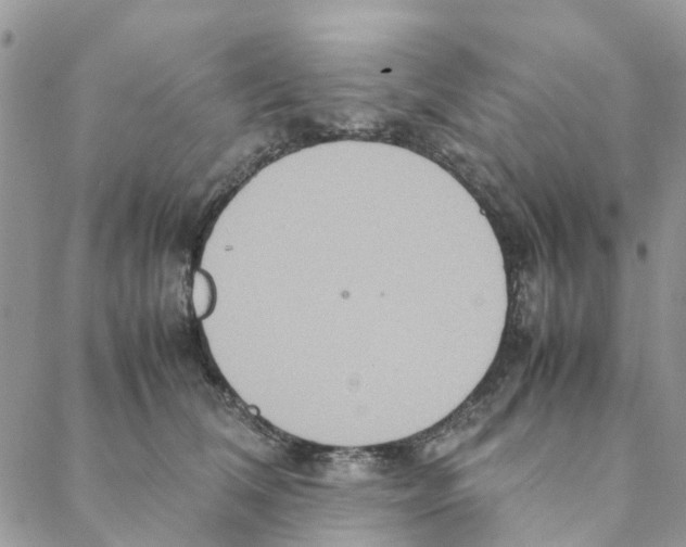 X0000088210612200706121807