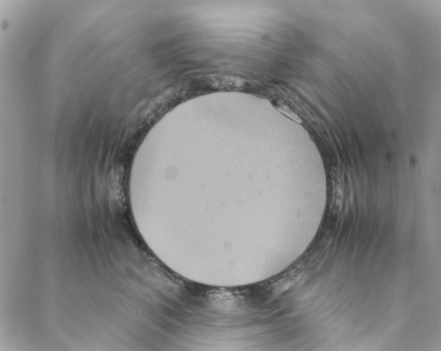 X0000088210616200706121807