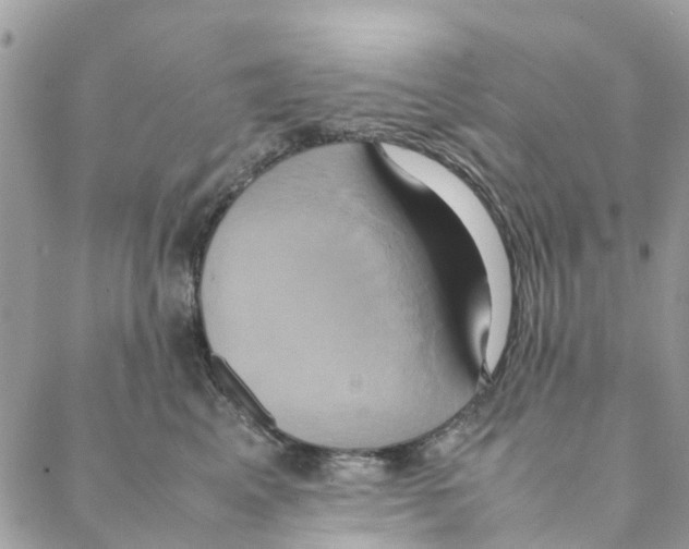 X0000088210617200706121807