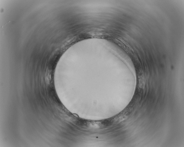 X0000088210618200706121807