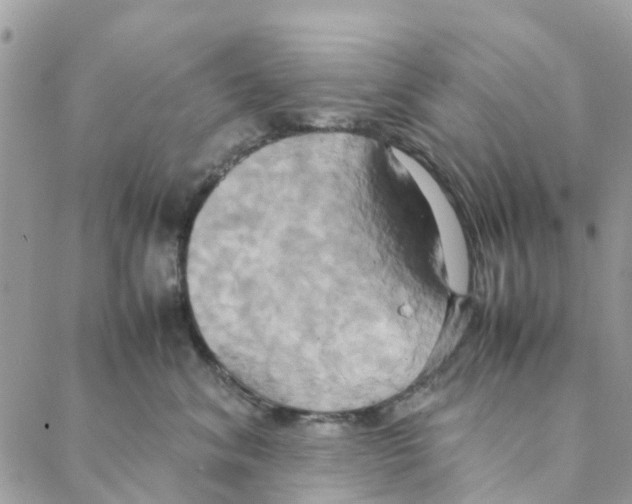 X0000088210620200706121807