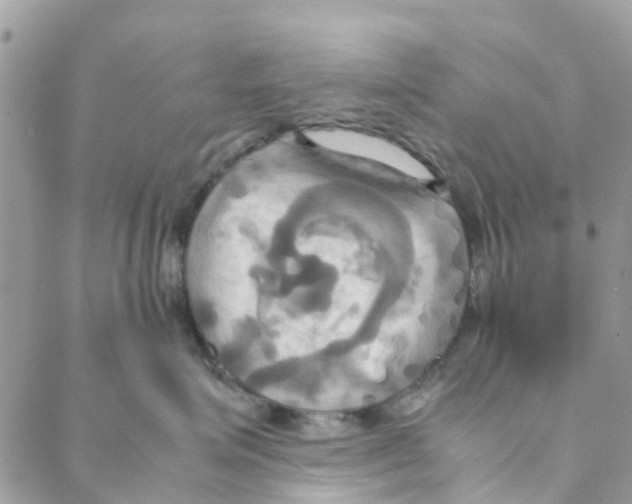 X0000088210623200706121807