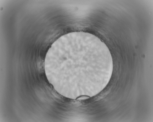 X0000088210624200706121807