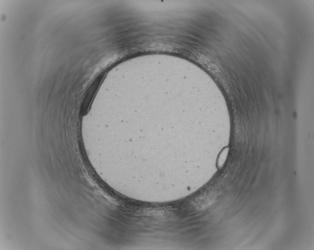 X0000088210625200706121806