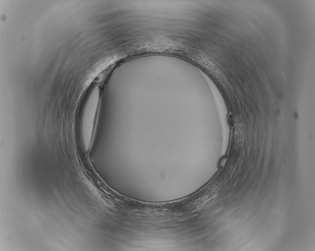 X0000088210626200706121806