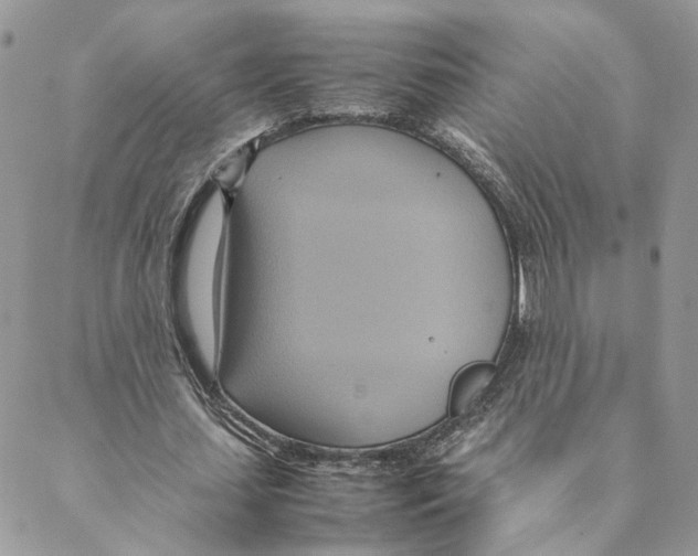 X0000088210627200706121806