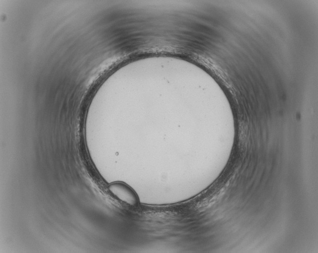 X0000088210629200706121806