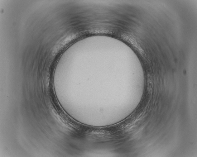 X0000088210631200706121806