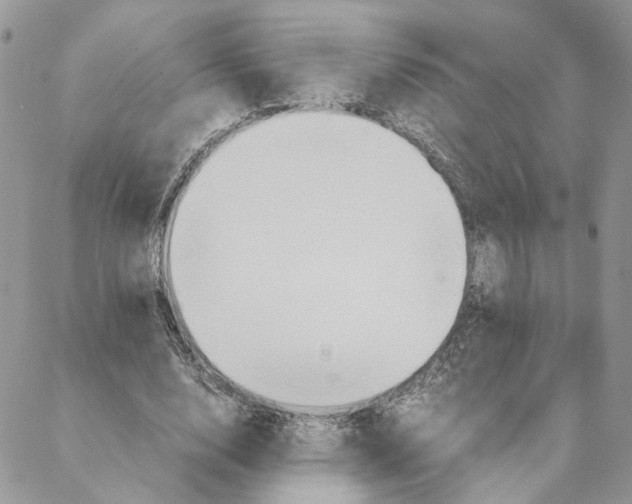 X0000088210632200706121806