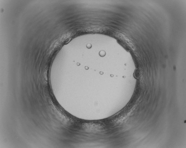 X0000088210633200706121806