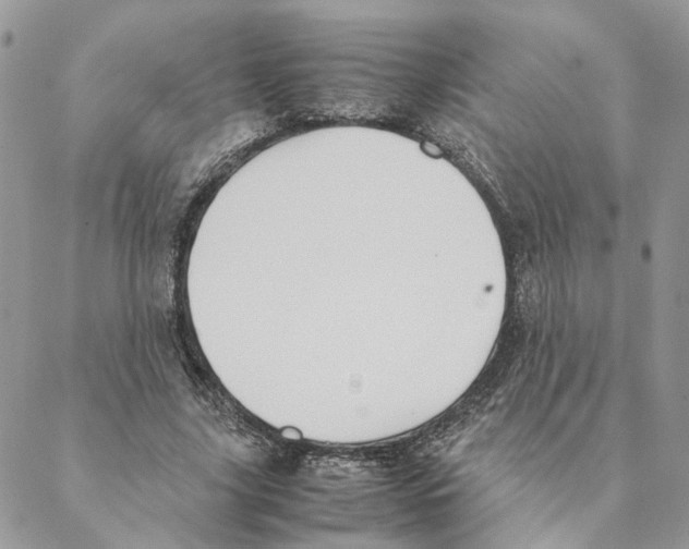 X0000088210635200706121806