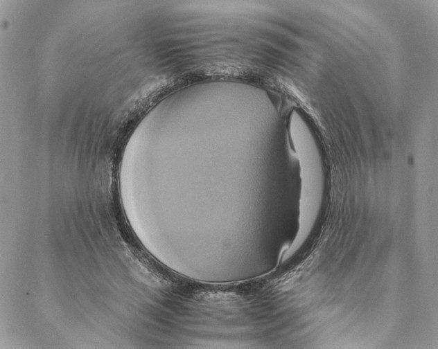 X0000088210637200706121806