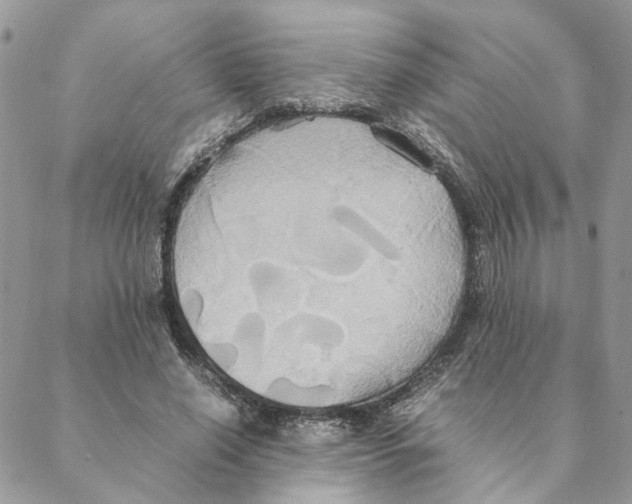 X0000088210638200706121806