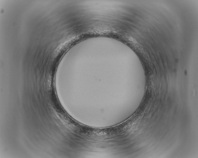 X0000088210640200706121806