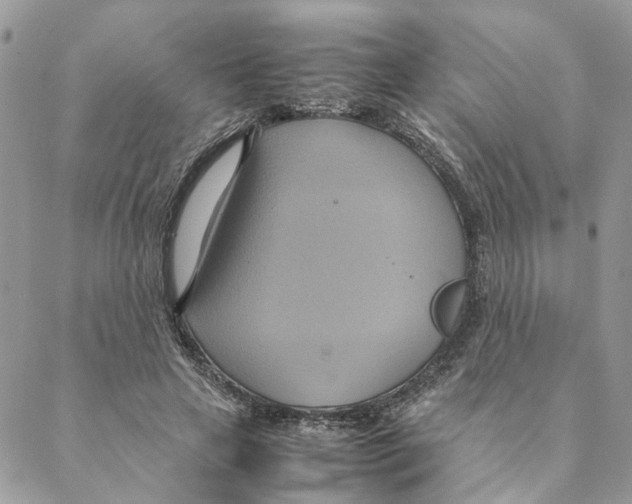 X0000088210641200706121806