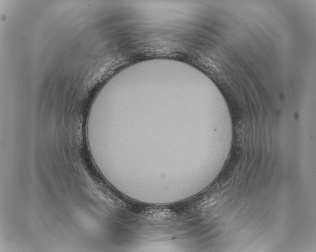 X0000088210642200706121806