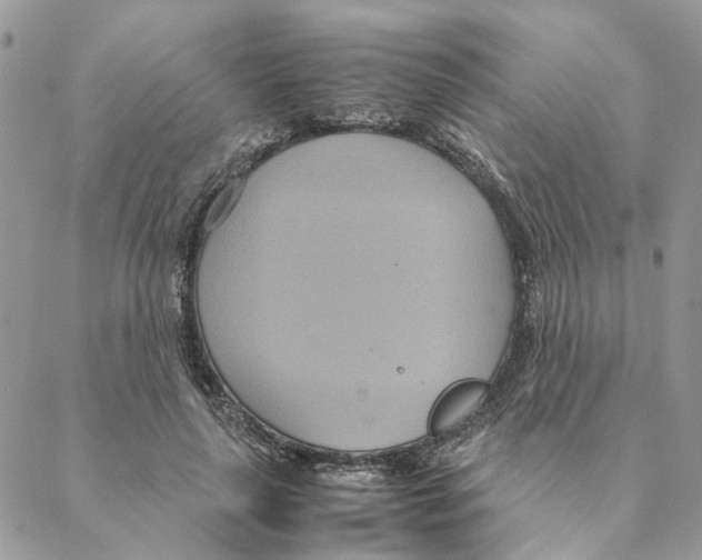 X0000088210643200706121806