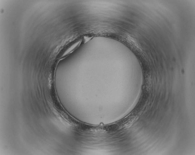 X0000088210644200706121806