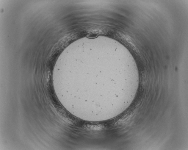 X0000088210645200706121806