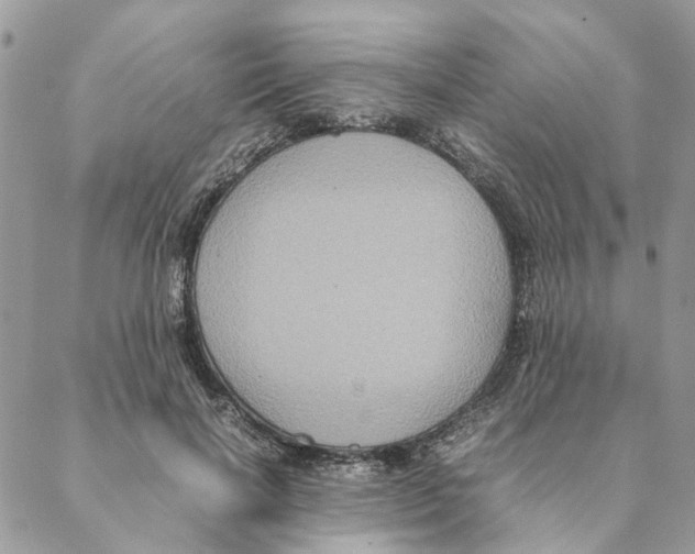 X0000088210646200706121806